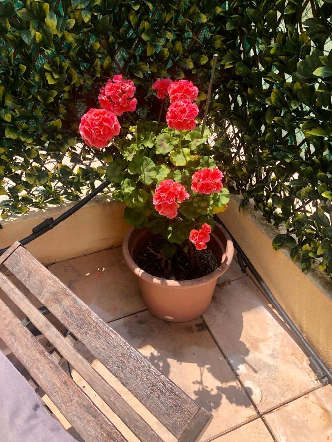 Mon Appart Avec Terrasse Et Piscine Roquebrune-Cap-Martin Ngoại thất bức ảnh